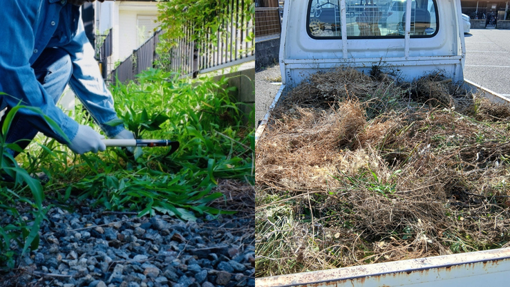 ピカラク　和佐　御坊市　草刈り